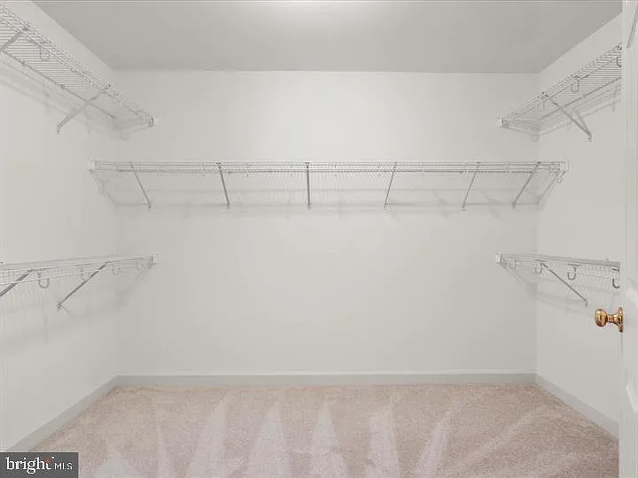 7980 Vigne Ct — Photo 17