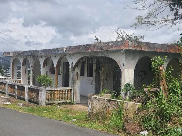 H-155 BUENA VISTA, TOITA WARD, LA HERRADURA SECTOR, CAYEY, PR 00736
