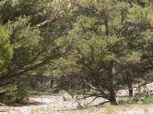 19251 Road 24 2, Dolores, CO 81323