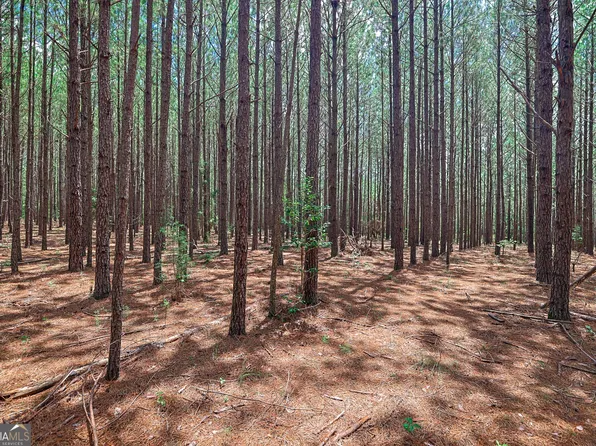 0 Wriley, Mc Intyre, GA 31054