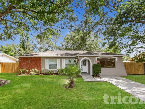 704 Falkirk Ave, Valrico, FL 33594