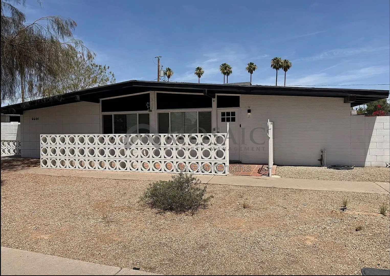 1 bed, 1.0 bath, 621 sqft, $1,295 — Photo 1