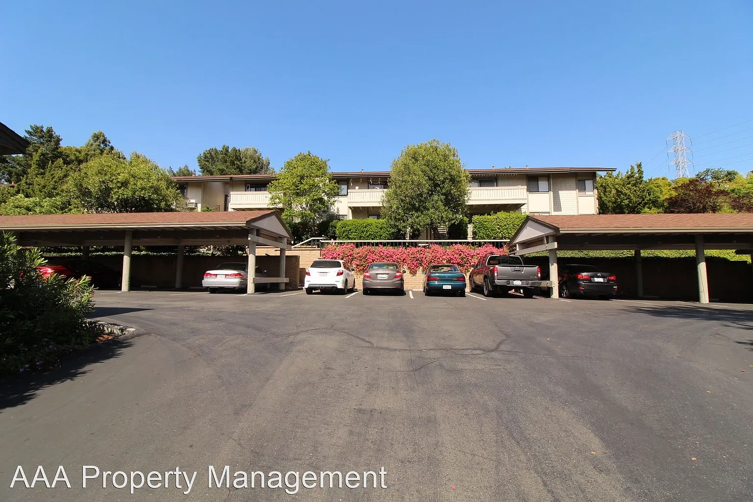 1403 Marchbanks Dr APT 4 photo 1