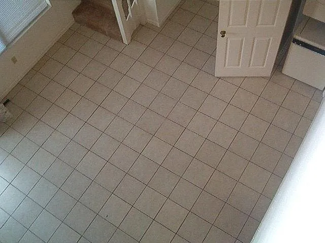 1 bed, 800 sqft, $1,300 — Photo 4