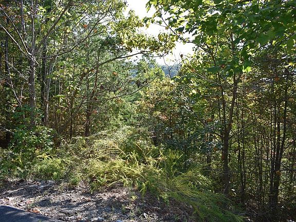 3rd image of 0 Harmony Hill Ln Lot 159E