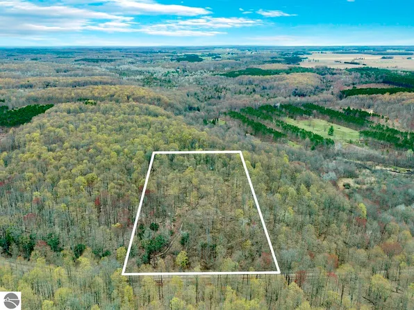 North St #8, Mesick, MI 49668