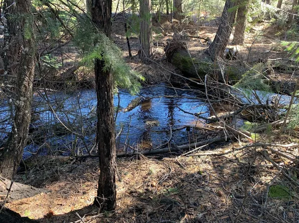 LOT 34 Princess Pine Pl, Shingletown, CA 96088
