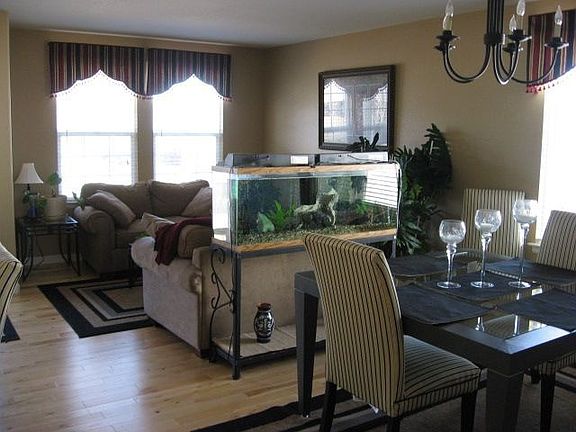 Birch hardwood floors