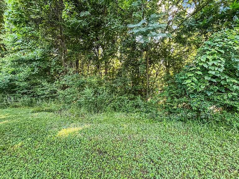3848 Ajanders Dr — Photo 18