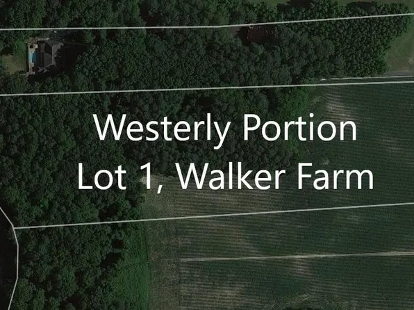 Westerly Portion Daye Girls Rd Lot 1, Bishopville, MD 21813