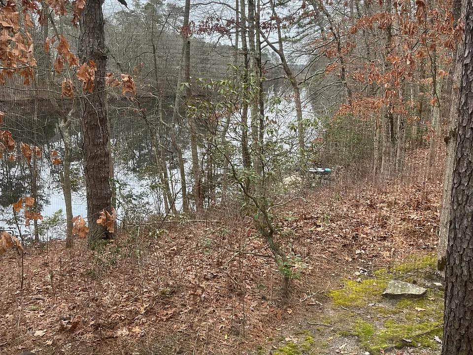Piney Run Rd