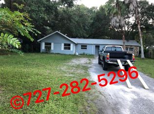 3159 Phoenix Ave APT B, Oldsmar, FL 34677