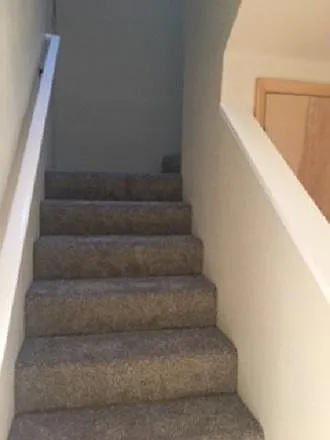 professionally cleaned carpeted stairs