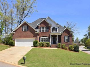 100 Summit View Ct, Chapin, SC 29036