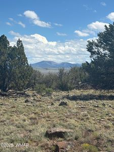 29B County Rd N #8339, Concho, AZ, 85924