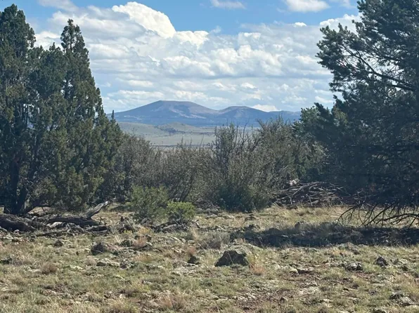 29B County Rd N #8339, Concho, AZ 85924