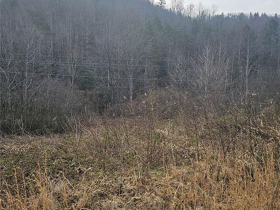 4th image of 0 Elk Creek Darby Road