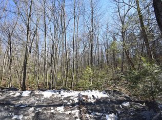 20 Wagmyr Ln, Loganton, PA 17747