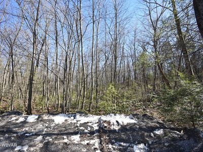 20 Wagmyr Ln, Loganton, PA, 17747