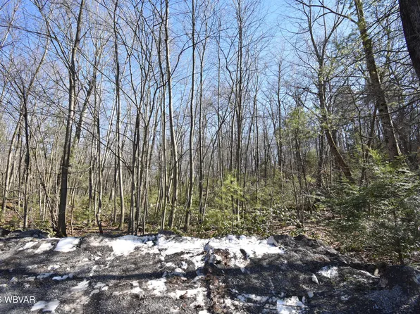 20 Wagmyr Ln, Loganton, PA 17747