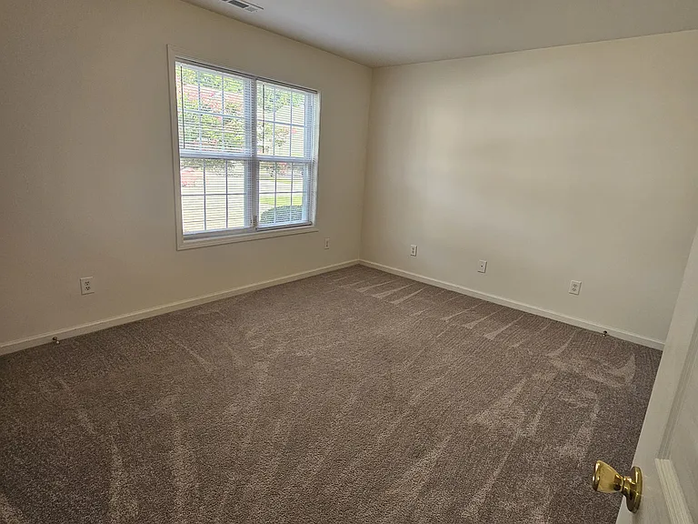 4216 Winding Branches Dr — Photo 7