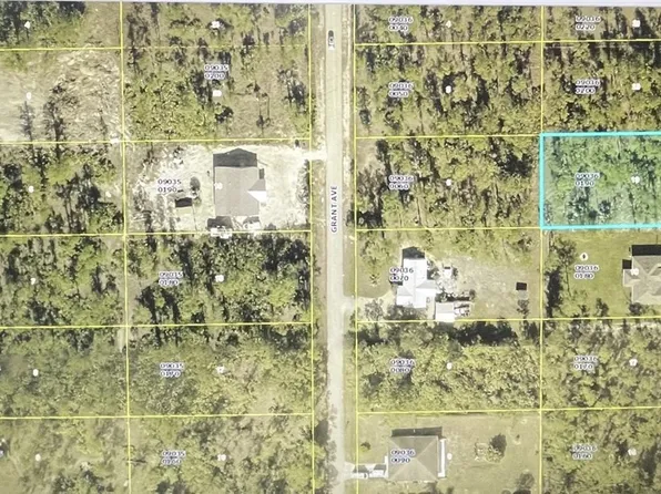 2213 Wellington Ave, Alva, FL 33920