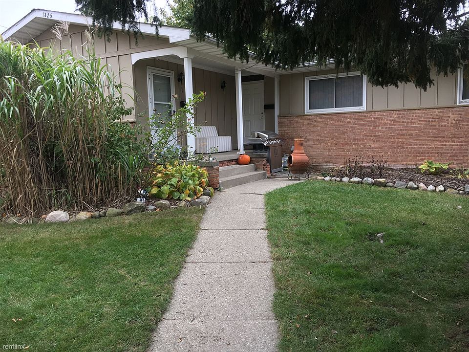 image1 (1)