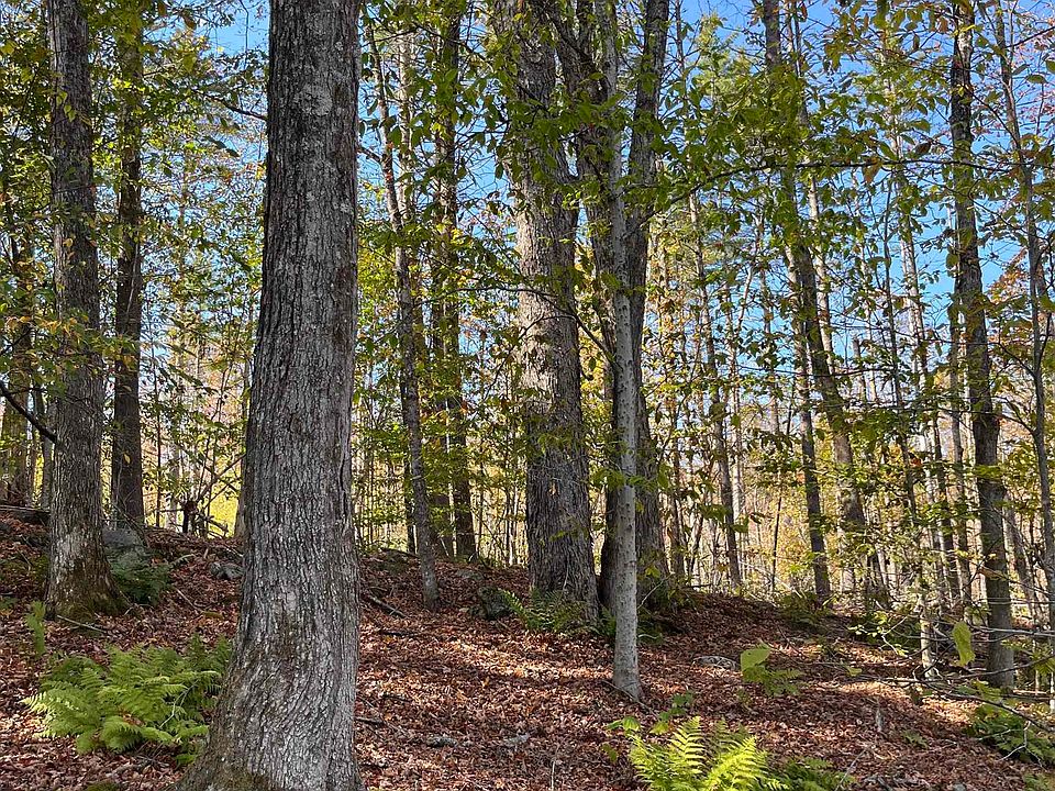 1st image of Map 227 Lot 007 Underwood Road