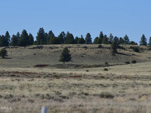 LOT 1 E Tanner Ranch Rd, Parks, AZ 86018