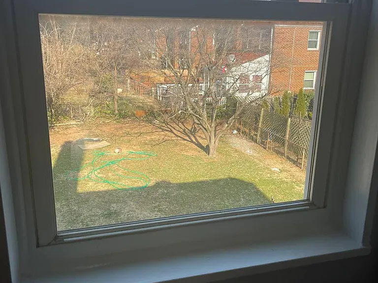Backyard View