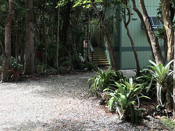 Parking - front walk