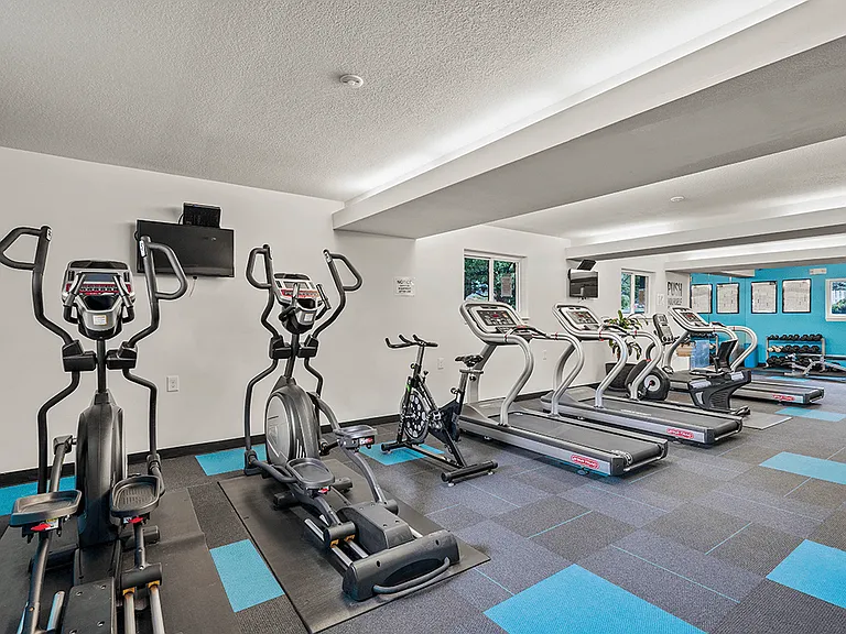 Excellent Cardio Equipment