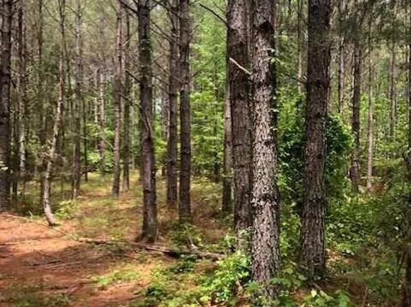 Woods Rd, Nauvoo, AL 35578