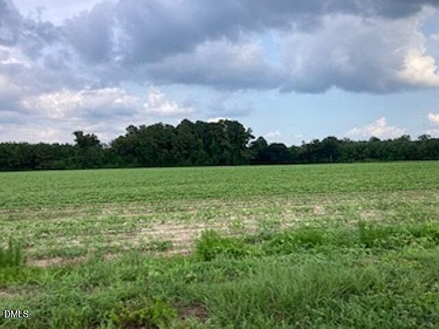 2nd image of 0 Waycross Rd #1