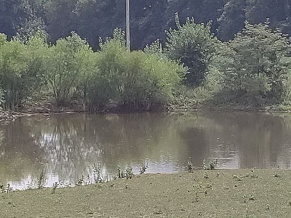Small pond channel cat blugill