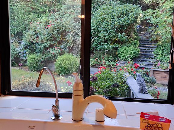 Kitchen with great view to Back yard