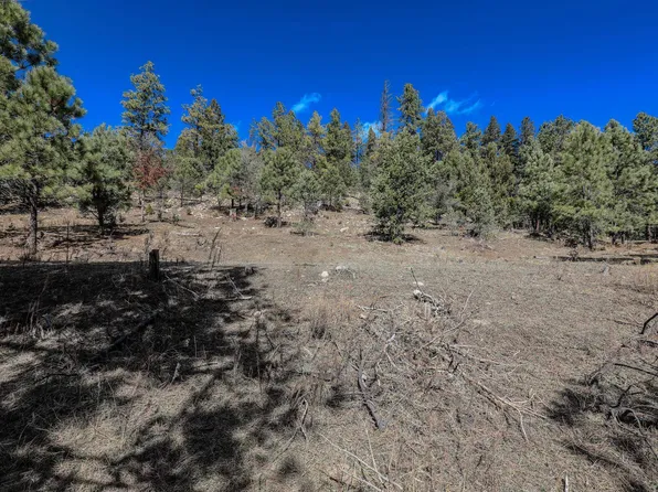 0 Poison Spring Rd, Cloudcroft, NM 88317