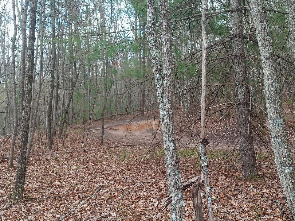 1st image of 0 Buckshot