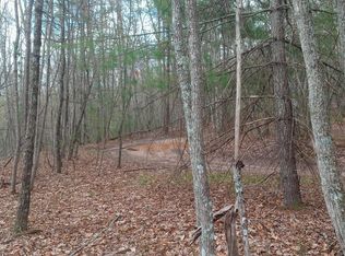 0 Buckshot, Mountain City, TN 37683