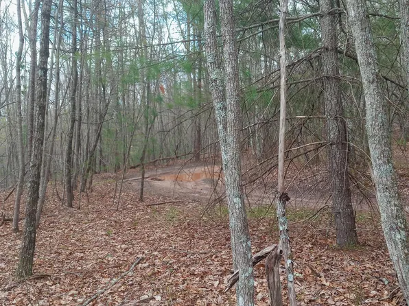 0 Buckshot, Mountain City, TN 37683