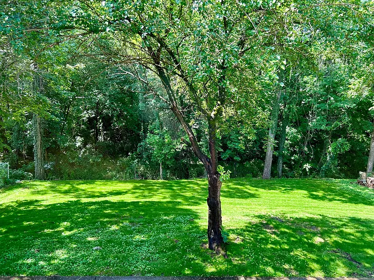 3357 Mimosa Dr #SIDE A — Photo 3