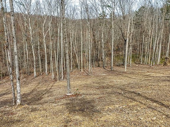 3rd image of 3689 Hazel Patch Rd