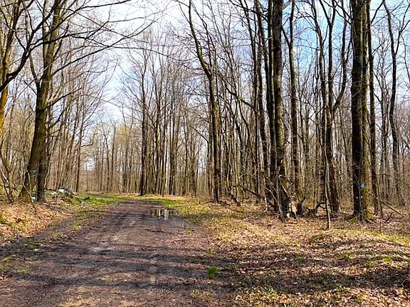 5th image of 1700 28th Creek Rd