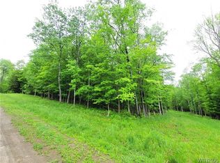 0 County Road 24 #18, Swain, NY 14884
