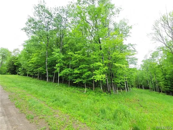 0 County Road 24 #18, Swain, NY 14884