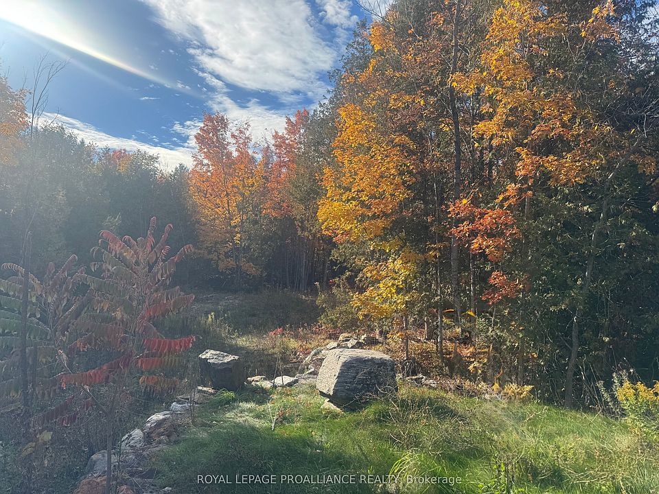2nd image of LOT 2 Vansickle Rd N