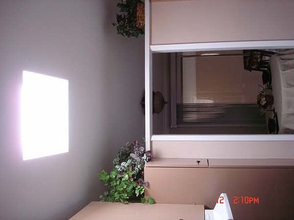 Skylight over Kitchen