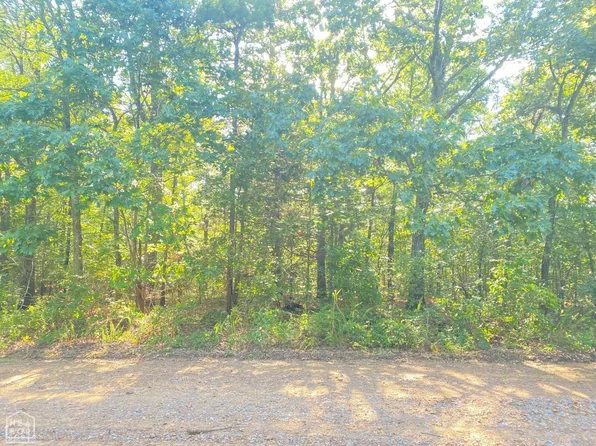 3 Red Oak St, Pleasant Plains, AR 72568