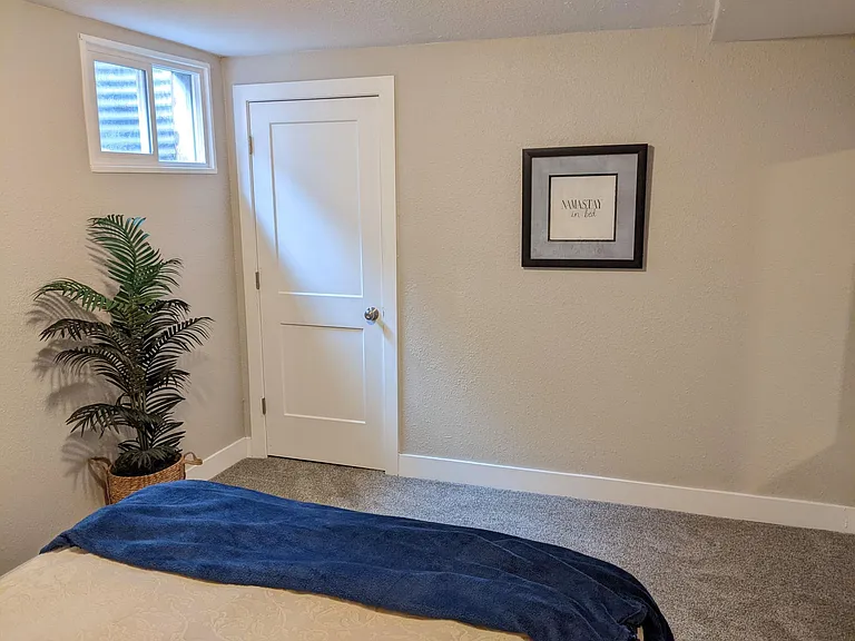 Basement bedroom with large closet