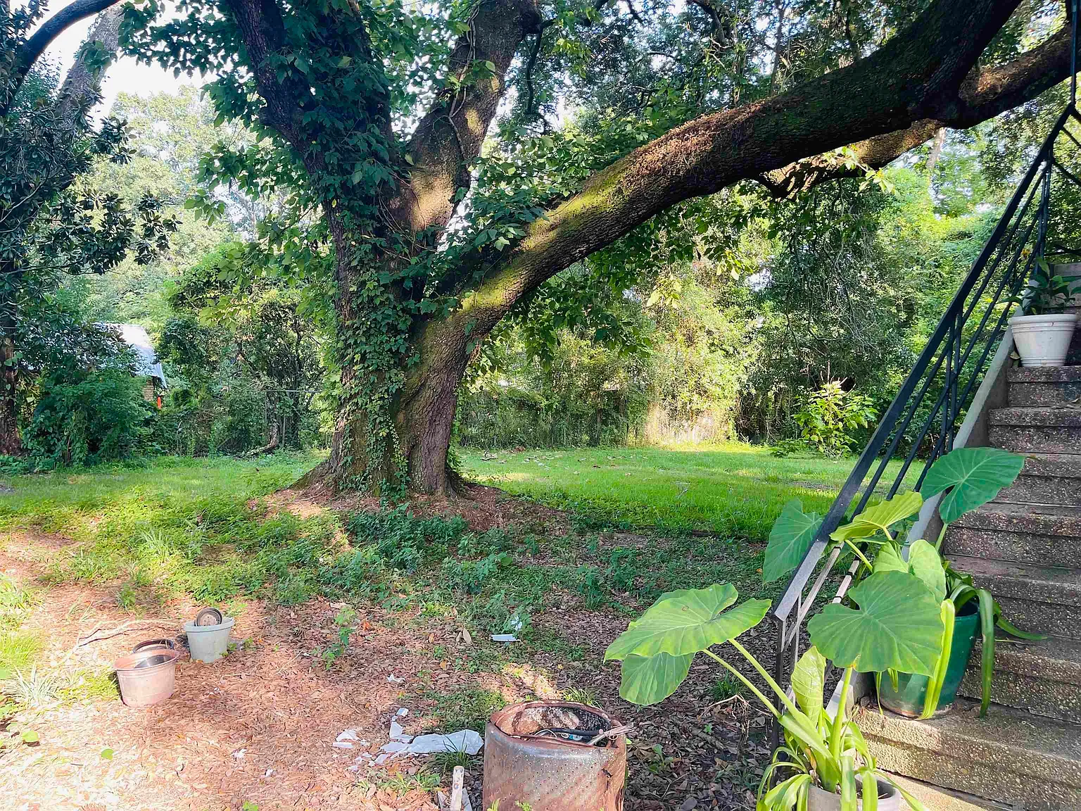 1 bed, 800 sqft, $575 — Photo 3